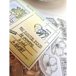 BESP22 Carte postale beige