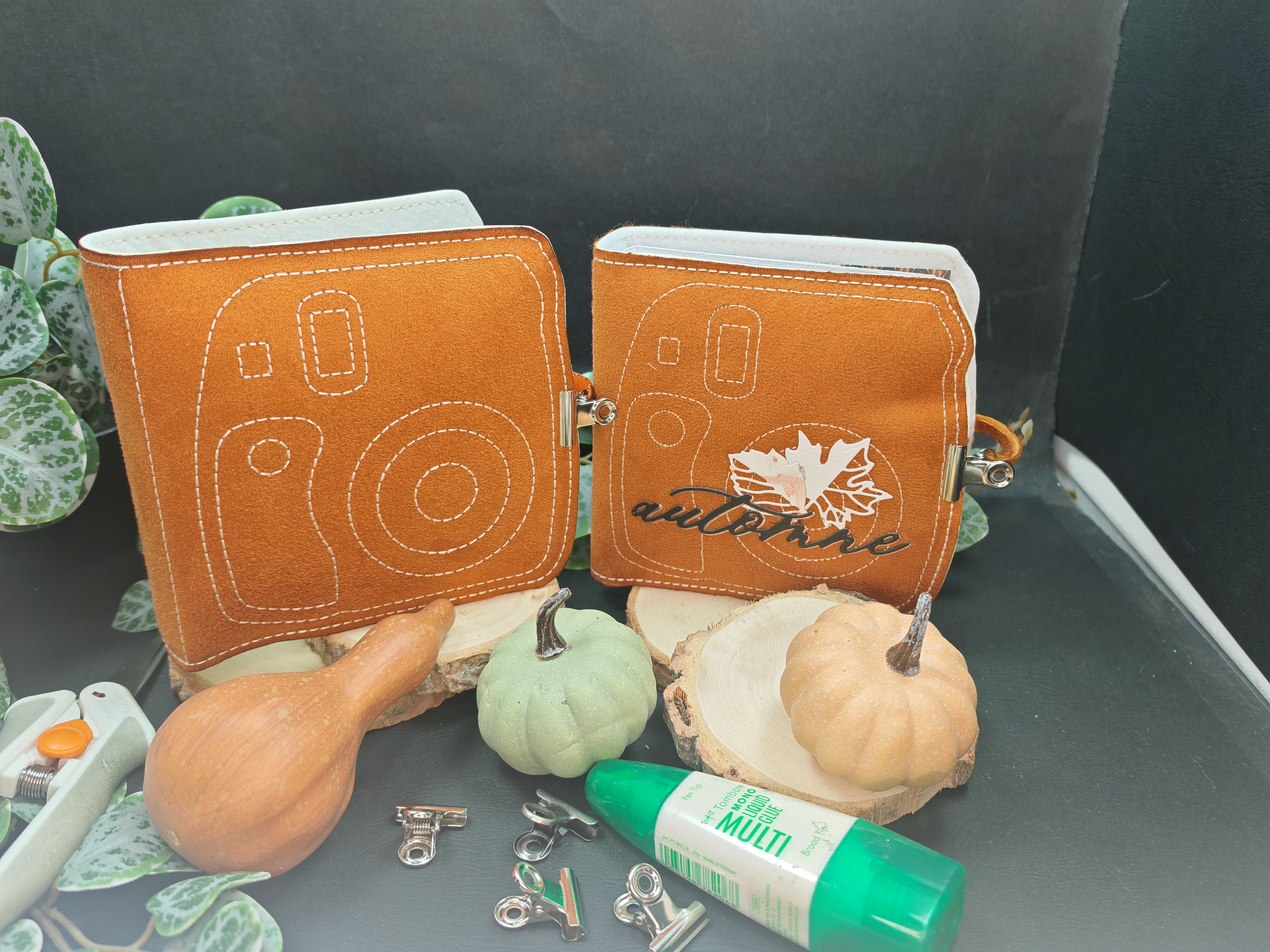 Structure d'album polaroid automne