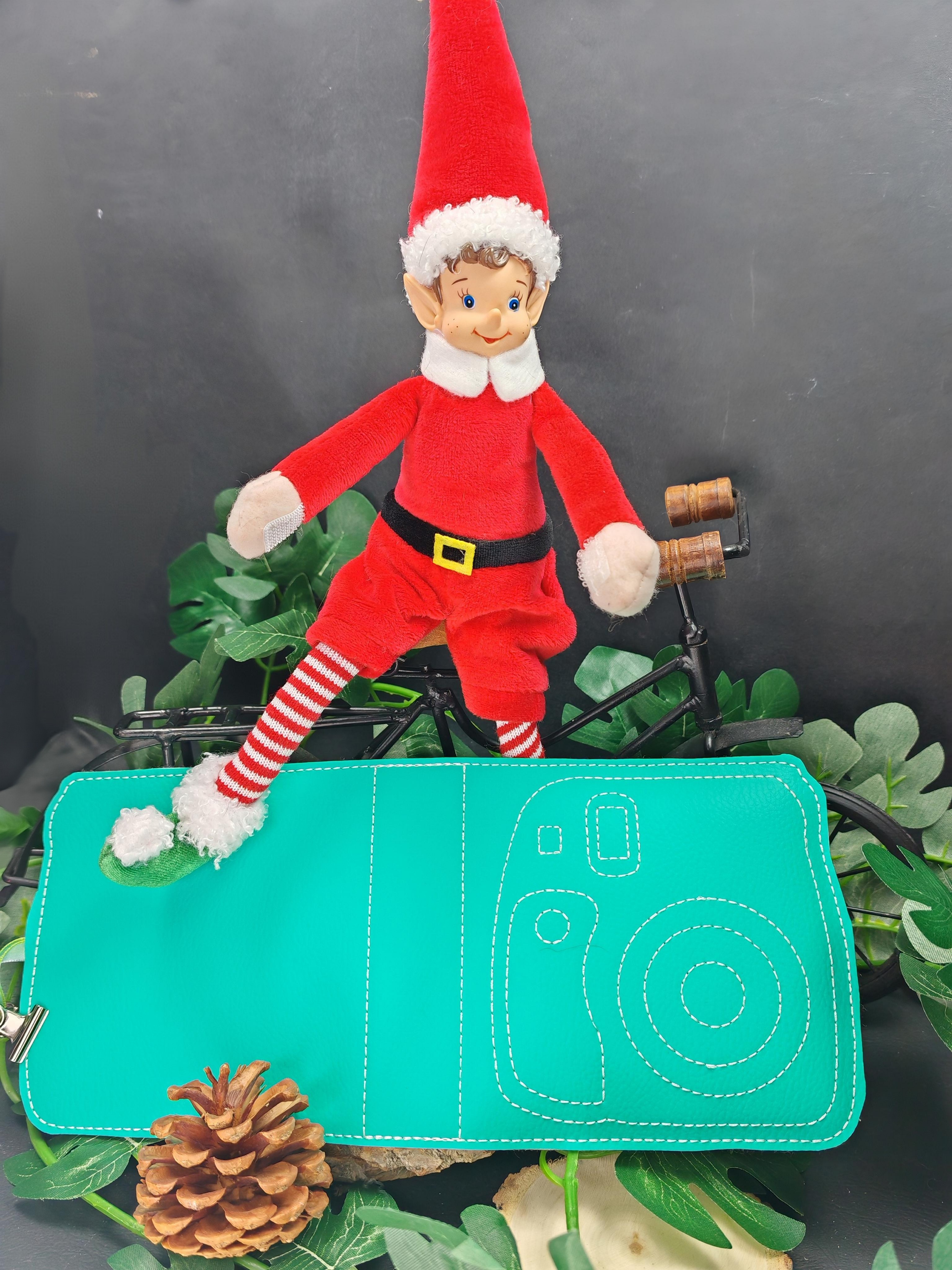 Structure d'album polaroid vert clair sky